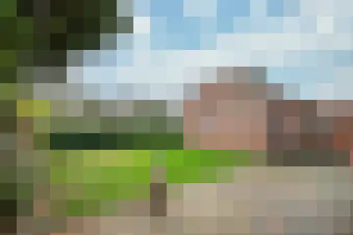Posthuisstraat 9 Maasbracht thumbnail 4
