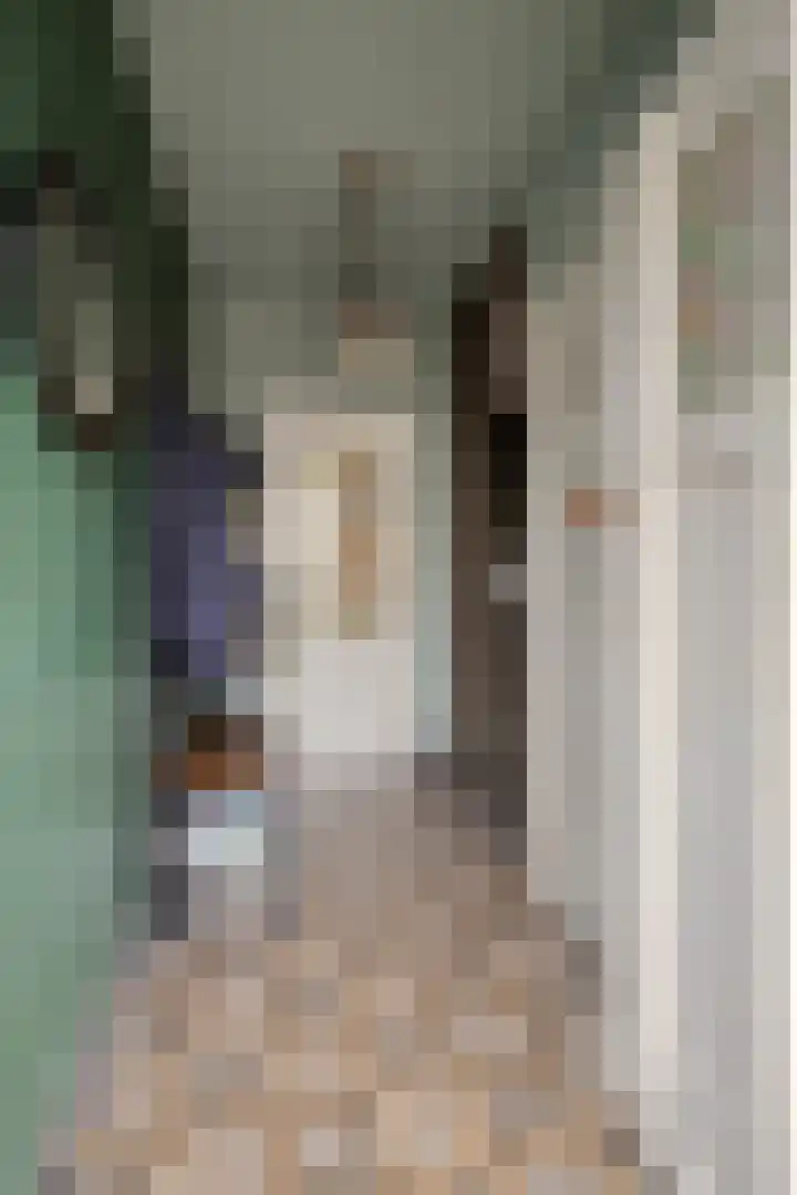 Posthuisstraat 9 Maasbracht thumbnail 5