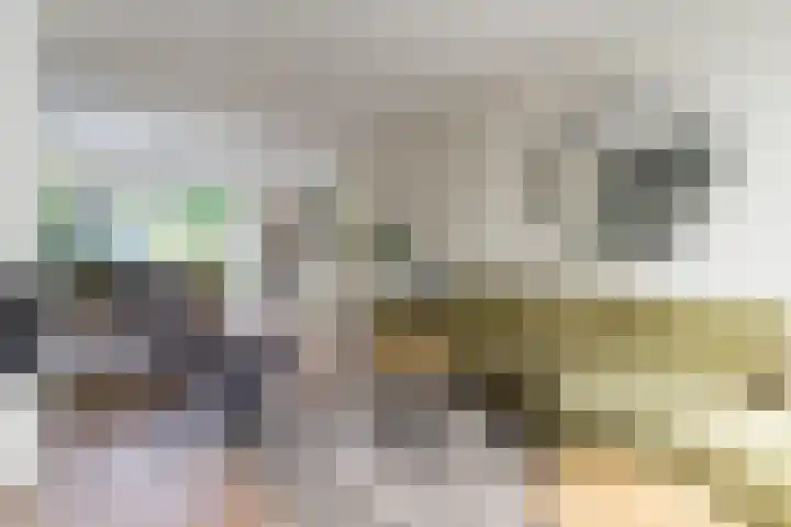 Posthumuspad 6 Eindhoven thumbnail 10