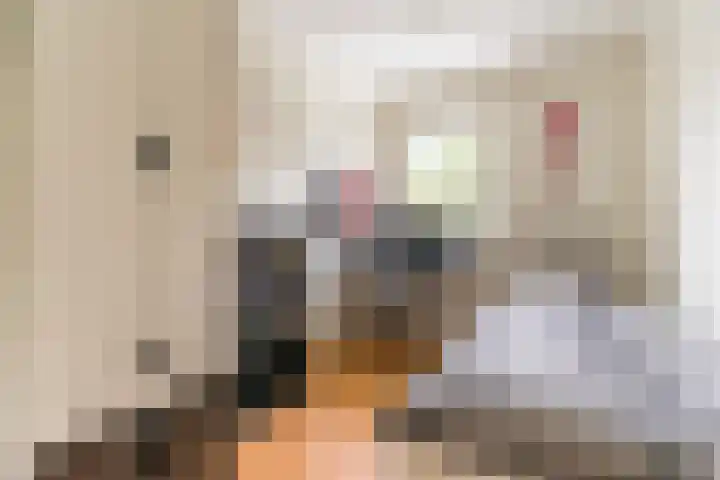 Posthumuspad 6 Eindhoven thumbnail 18