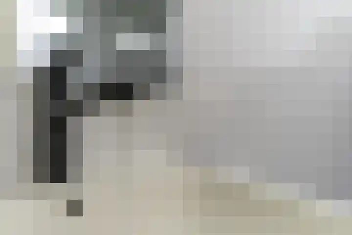Posthumuspad 6 Eindhoven thumbnail 22