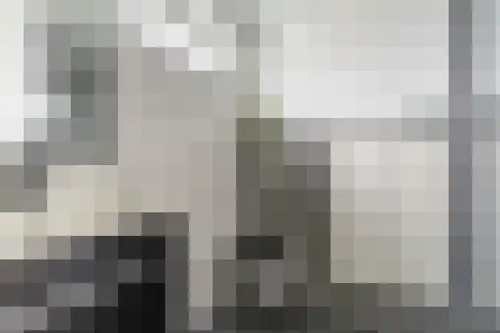 Posthumuspad 6 Eindhoven thumbnail 4
