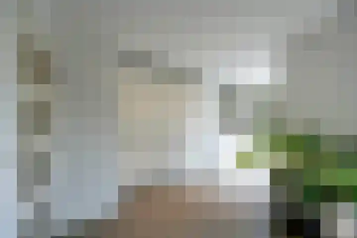 Postiljon 50 Laren thumbnail 10