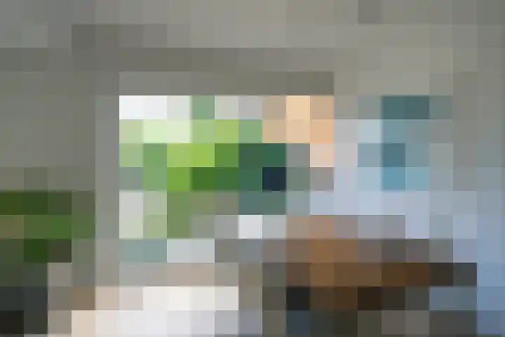Postiljon 50 Laren thumbnail 11