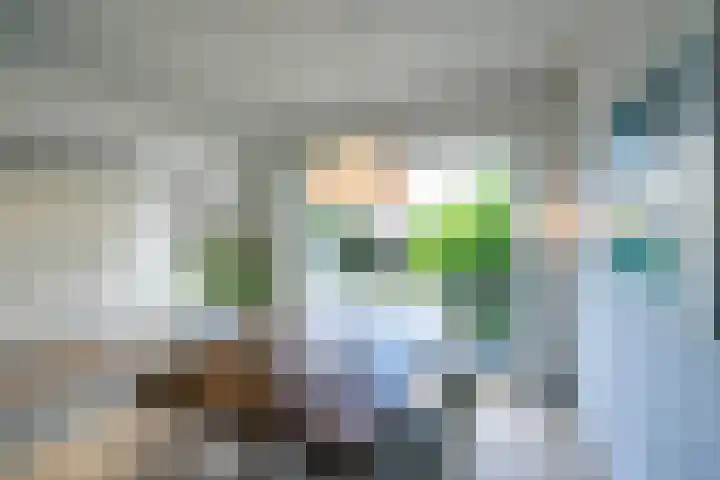 Postiljon 50 Laren thumbnail 12
