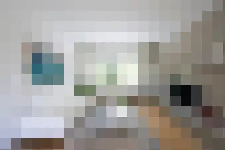 Postiljon 50 Laren thumbnail 13