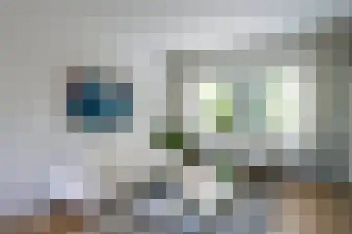 Postiljon 50 Laren thumbnail 14