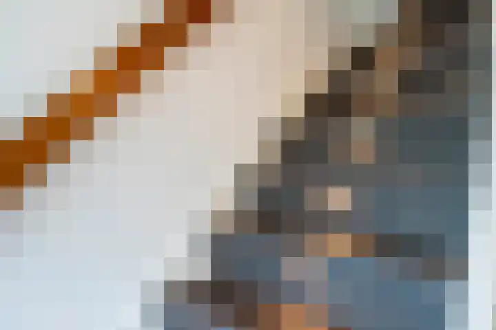 Postiljon 50 Laren thumbnail 17