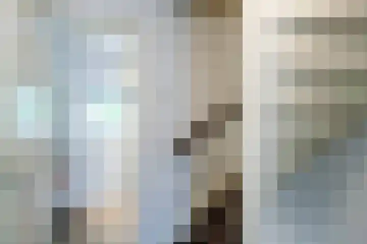 Postiljon 50 Laren thumbnail 21
