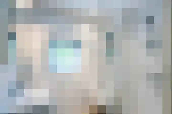 Postiljon 50 Laren thumbnail 22
