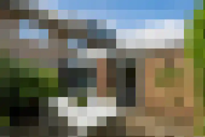 Postiljon 50 Laren thumbnail 28