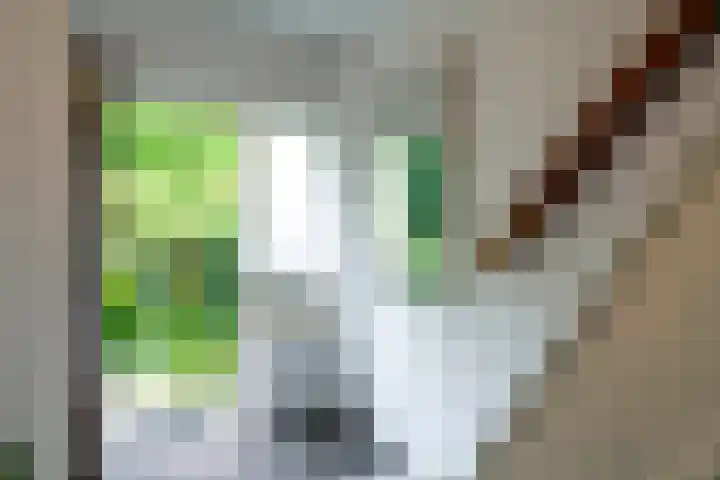 Postiljon 50 Laren thumbnail 4