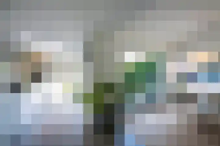 Postiljon 50 Laren thumbnail 5