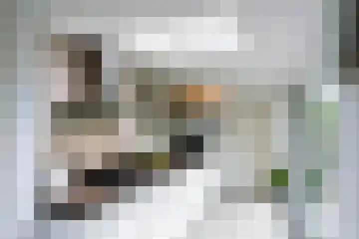 Postiljon 50 Laren thumbnail 6