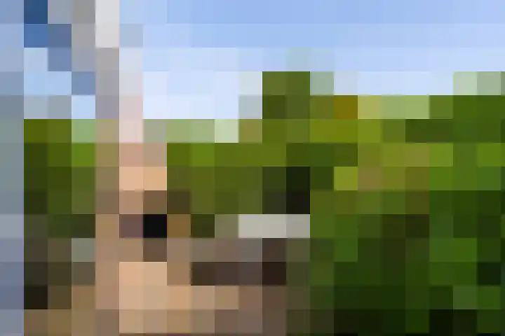Postiljon 50 Laren thumbnail 7