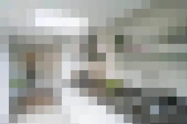 Postiljon 50 Laren thumbnail 9