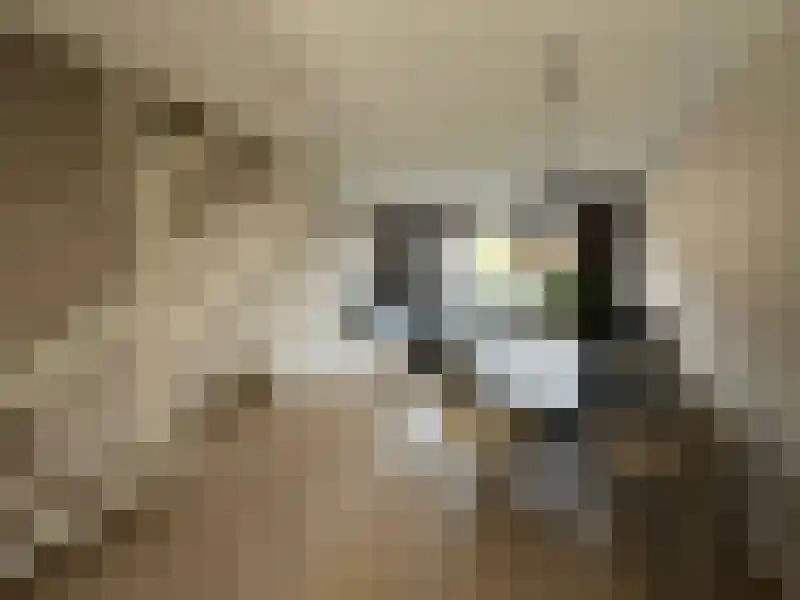 Postiljon 9 Luyksgestel thumbnail 4