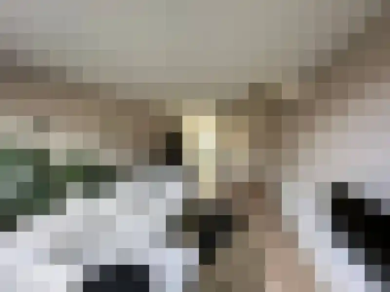 Postiljon 9 Luyksgestel thumbnail 5