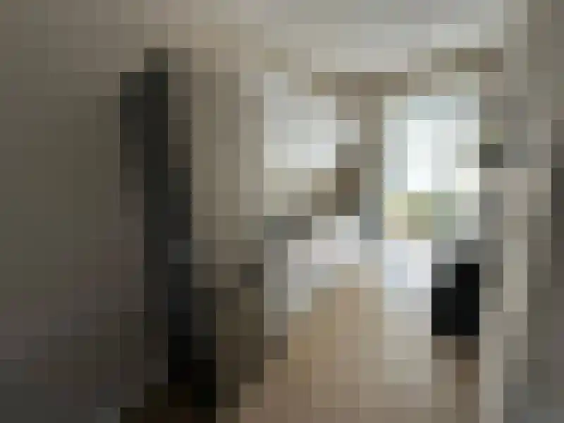 Postiljon 9 Luyksgestel thumbnail 6