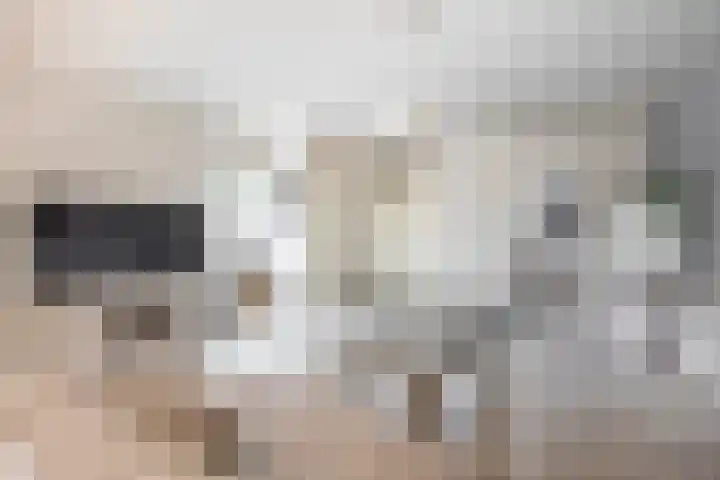 Postiljonhof 21 Tegelen thumbnail 9