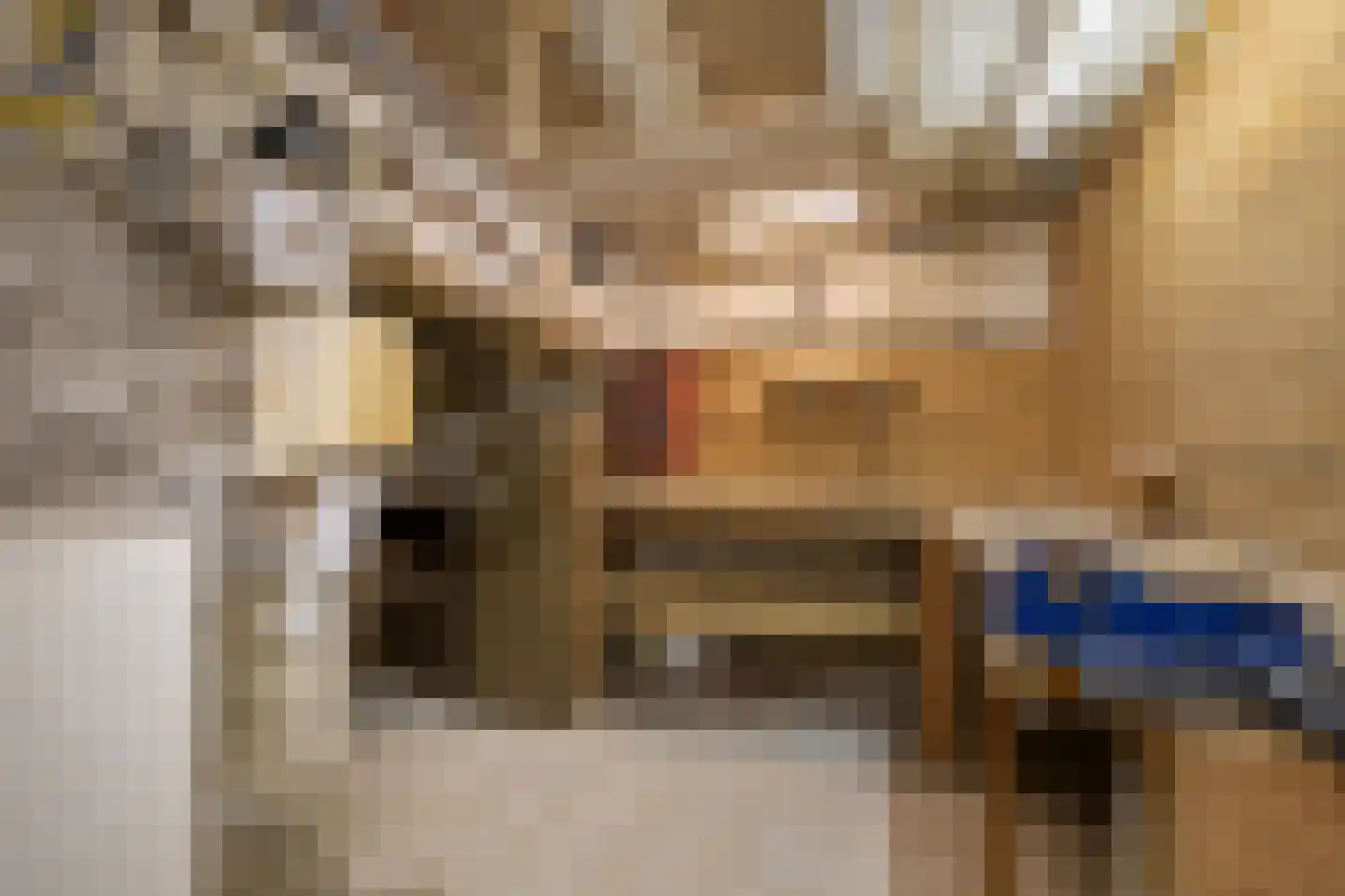 Postiljonhof 31 Tegelen thumbnail 15