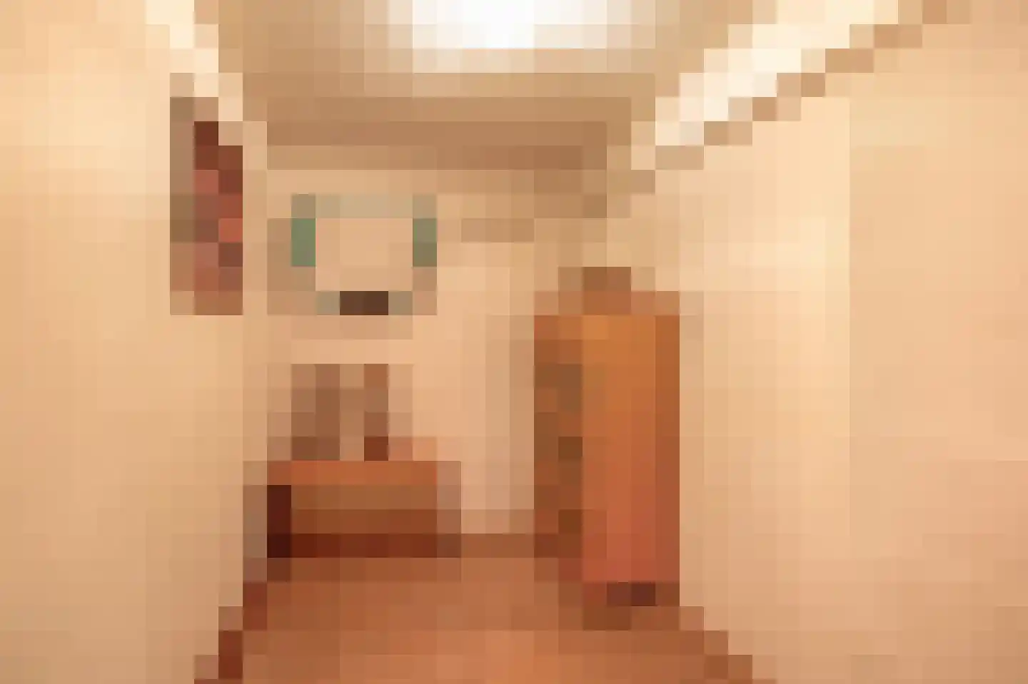 Postiljonhof 31 Tegelen thumbnail 17