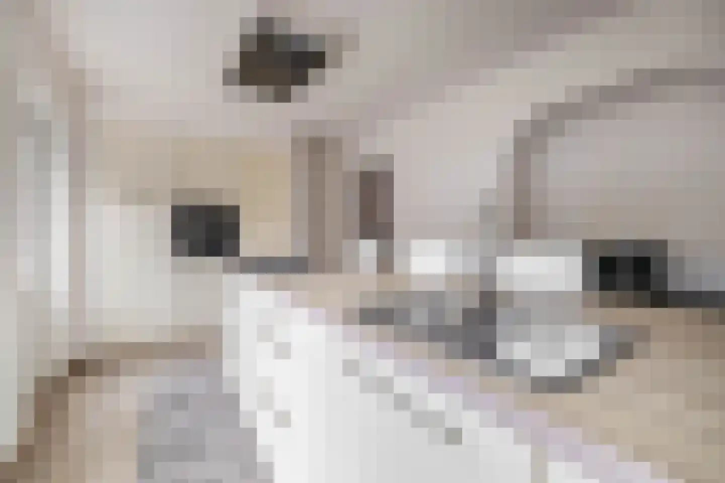 Postiljonhof 38 Tegelen thumbnail 11