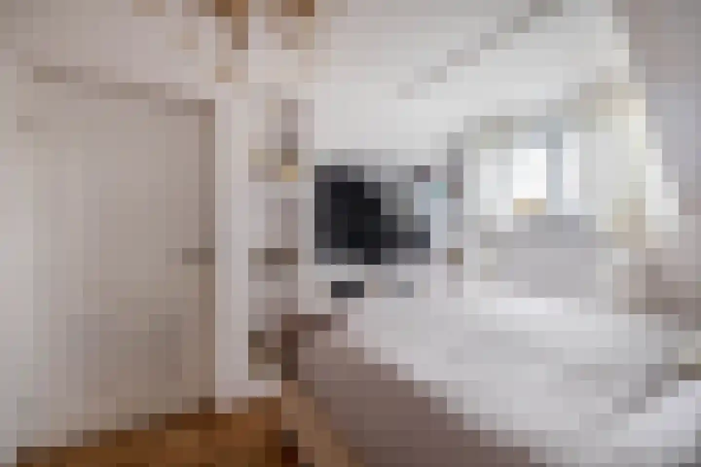 Postiljonhof 38 Tegelen thumbnail 15