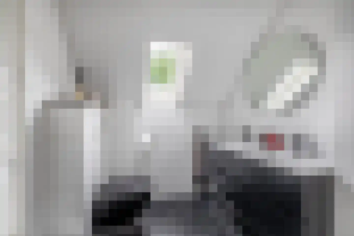 Postiljonhof 38 Tegelen thumbnail 16