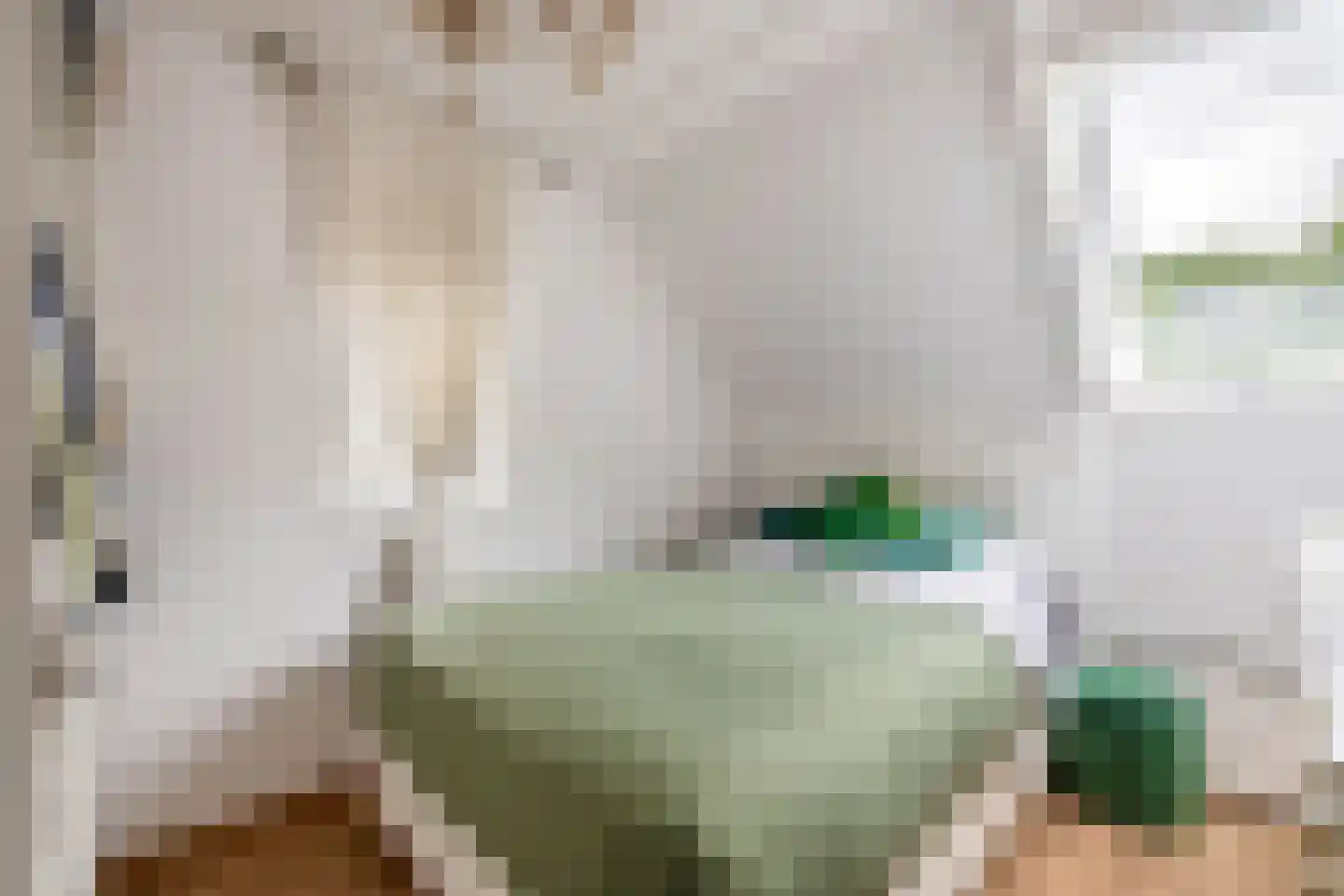 Postiljonhof 38 Tegelen thumbnail 19