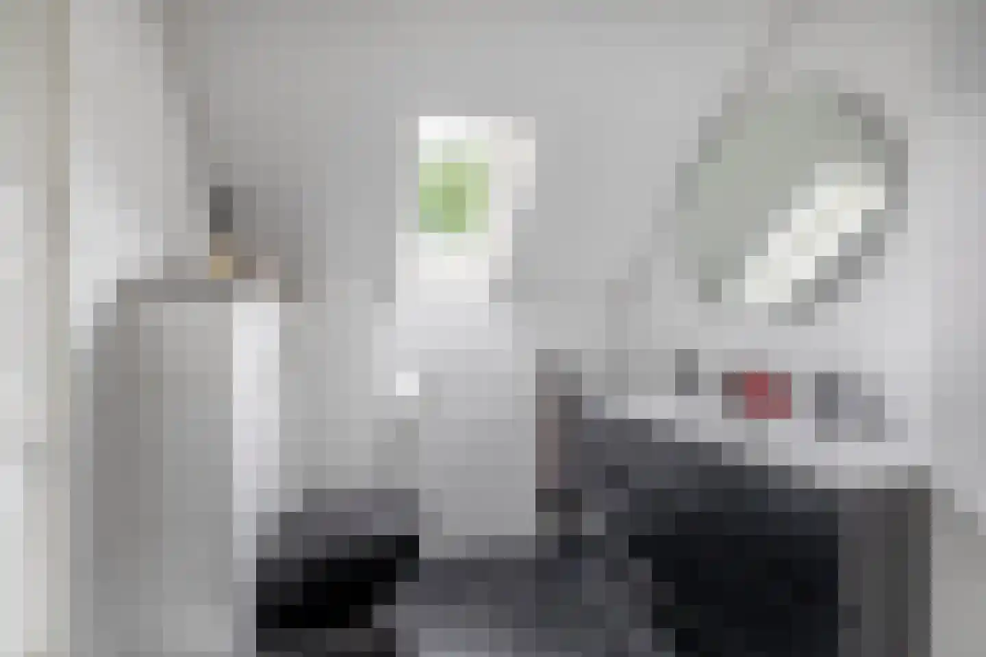 Postiljonhof 38 Tegelen thumbnail 4