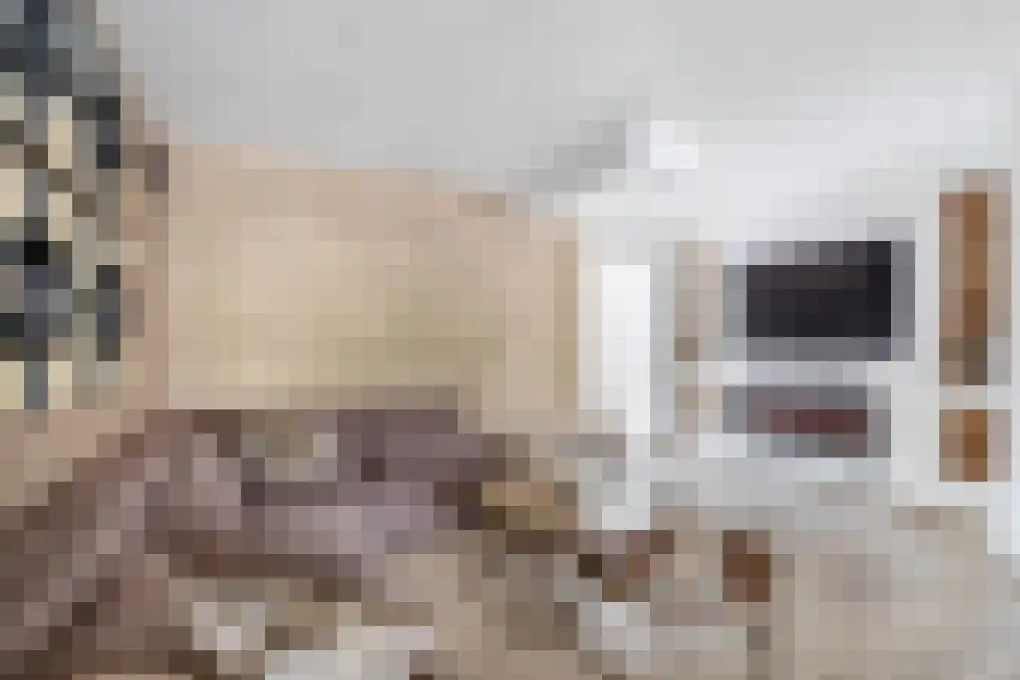 Postiljonhof 38 Tegelen thumbnail 7