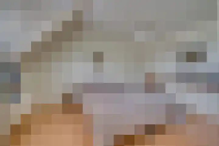 Postiljonhof 7 Tegelen thumbnail 15