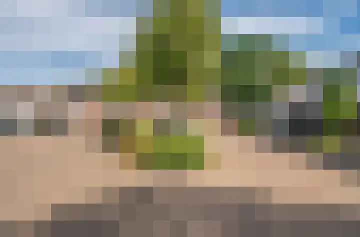 Postiljonhof 7 Tegelen thumbnail 27