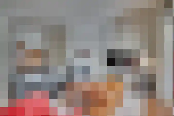 Postiljonhof 7 Tegelen thumbnail 6