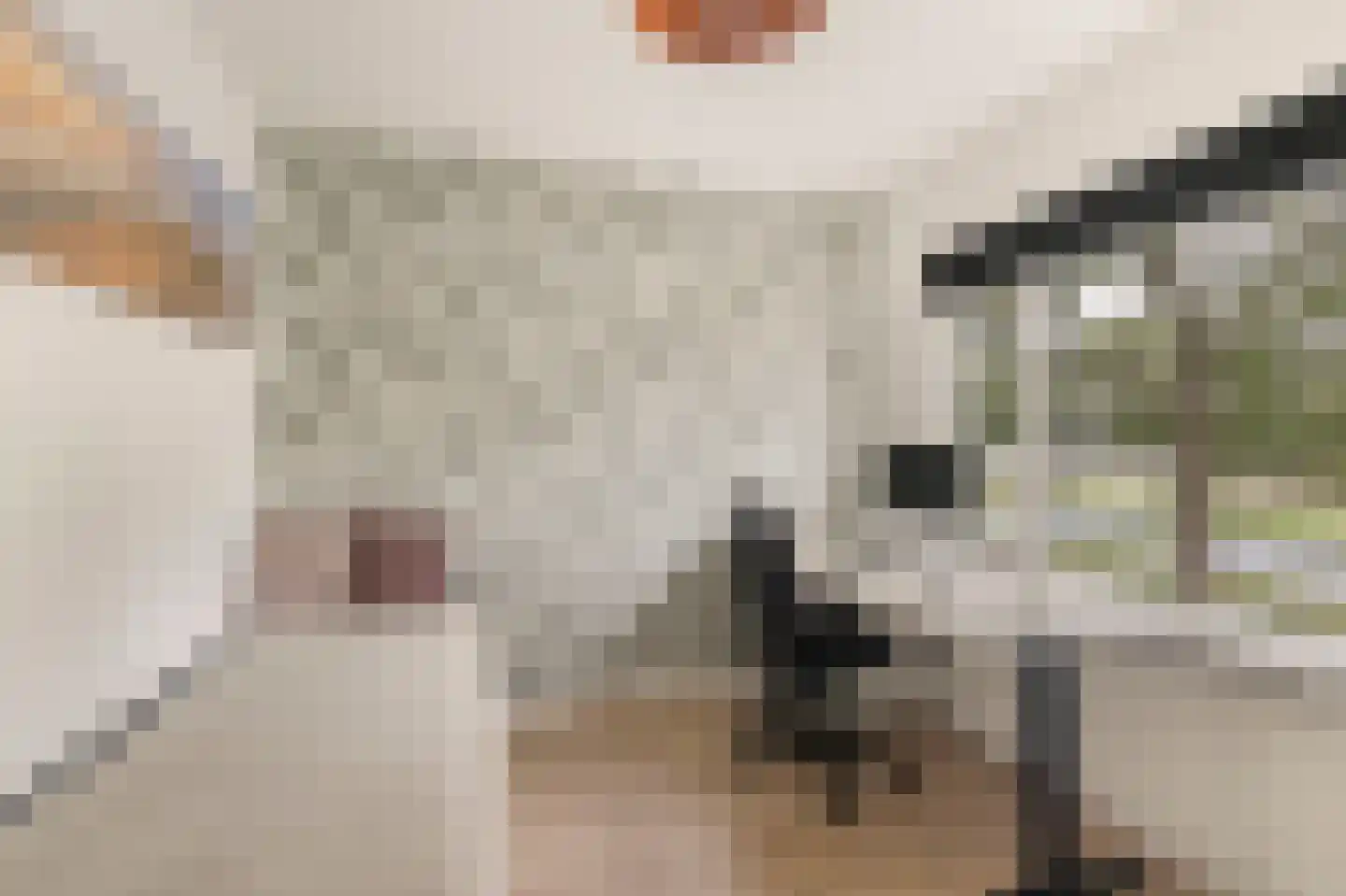 Postiljonstraat 35 Alkmaar thumbnail 23