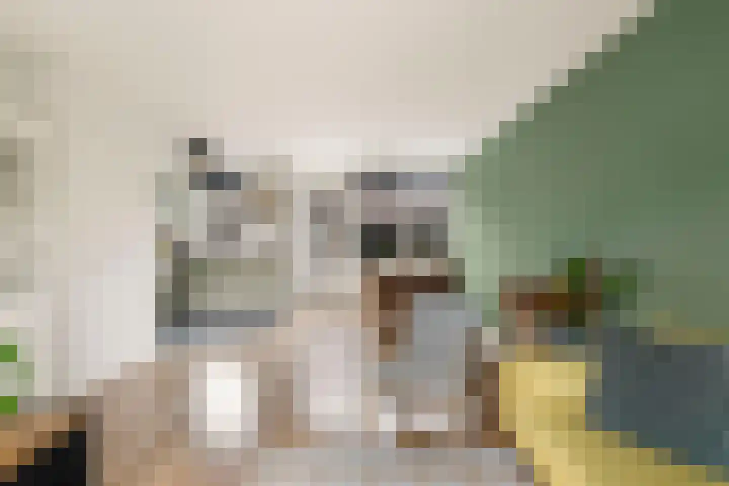 Postiljonstraat 35 Alkmaar thumbnail 8