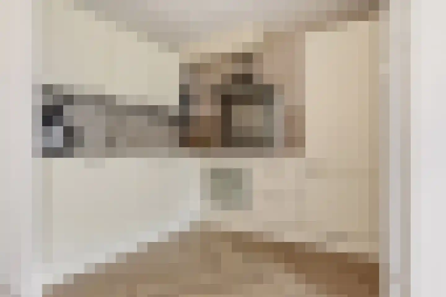 Postiljonstraat 41 Alkmaar thumbnail 17