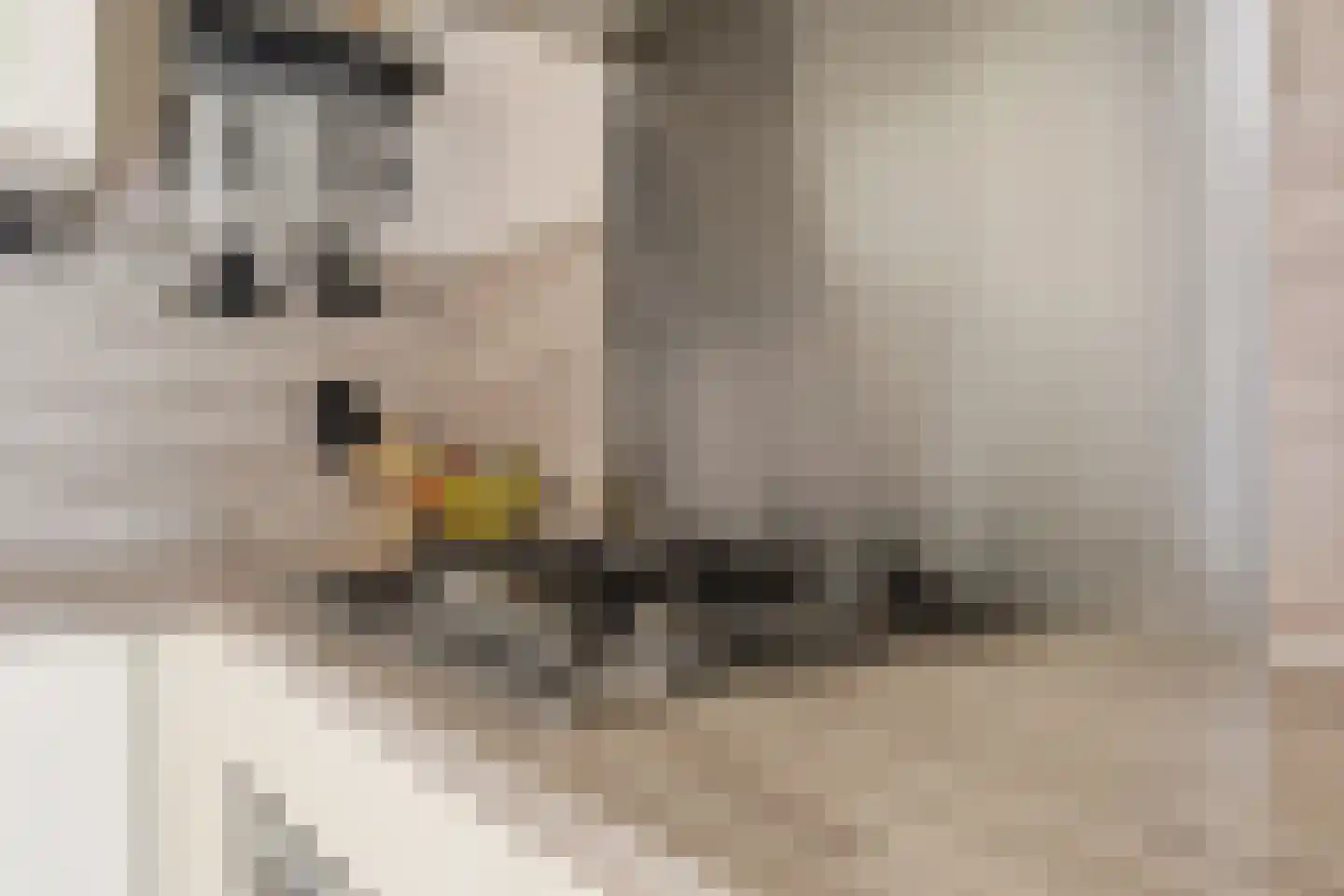 Postiljonstraat 41 Alkmaar thumbnail 18