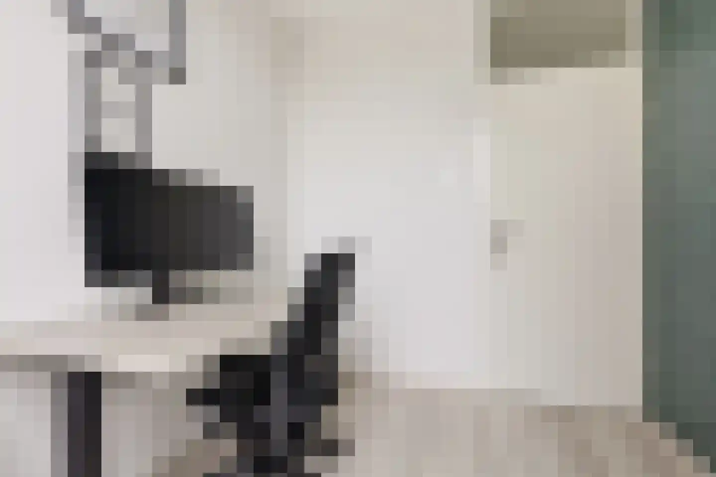 Postiljonstraat 41 Alkmaar thumbnail 36