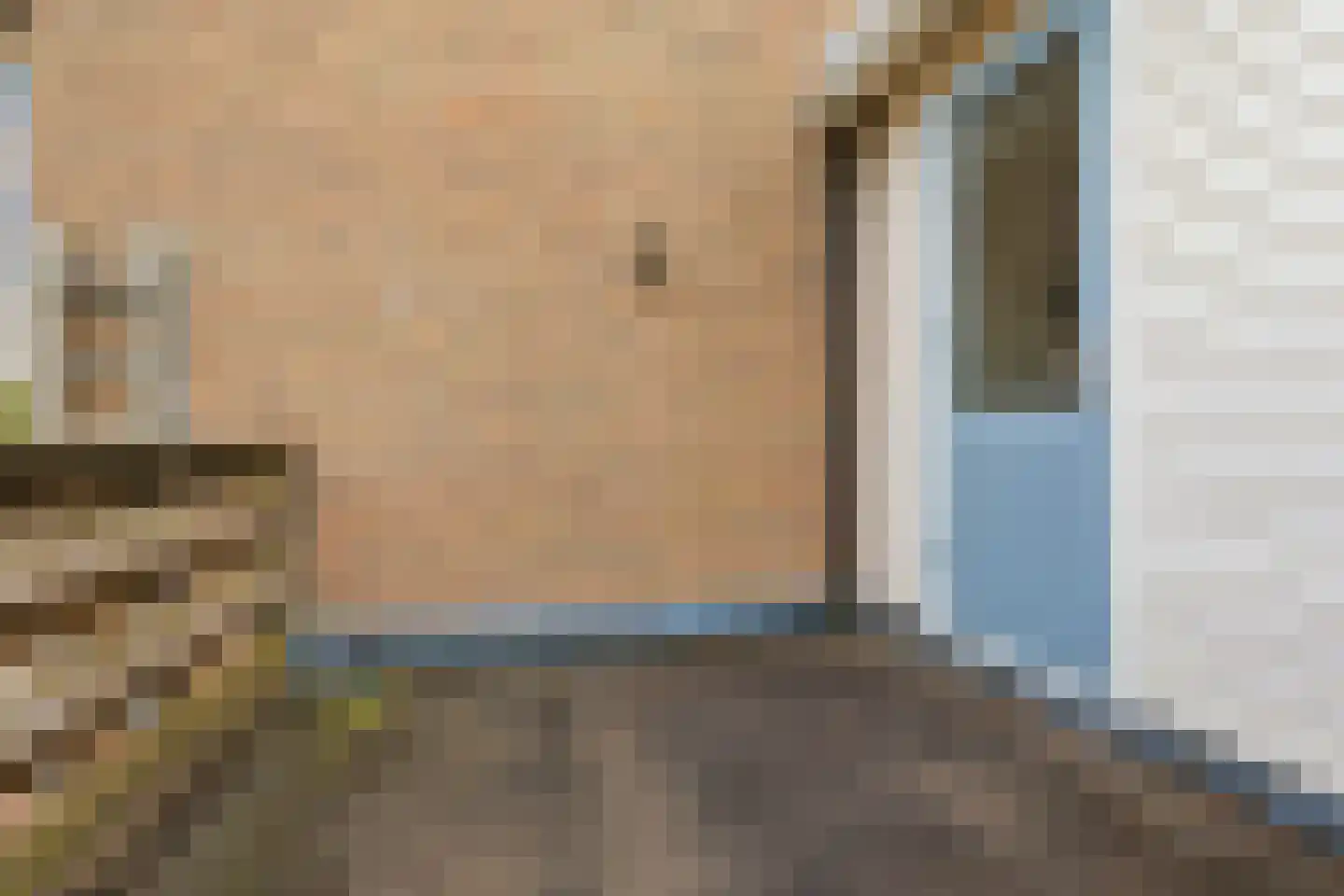 Postiljonstraat 41 Alkmaar thumbnail 42