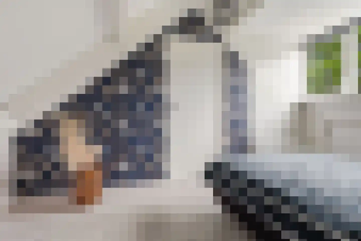 Postiljonstraat 41 Alkmaar thumbnail 47