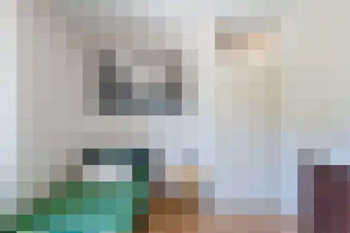 Postiljonstraat 44 Alkmaar thumbnail 19