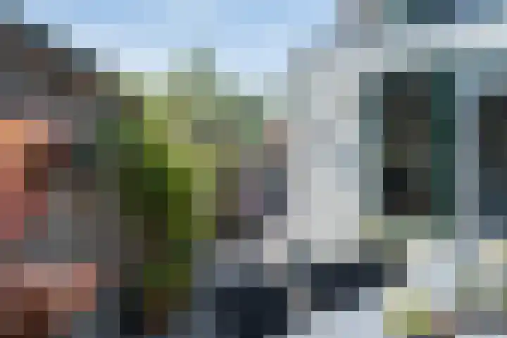 Postiljonstraat 44 Alkmaar thumbnail 29
