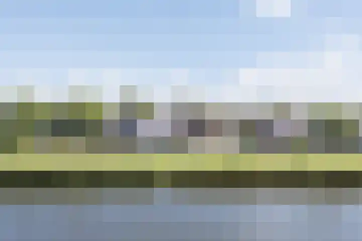 Postiljonstraat 44 Alkmaar thumbnail 35