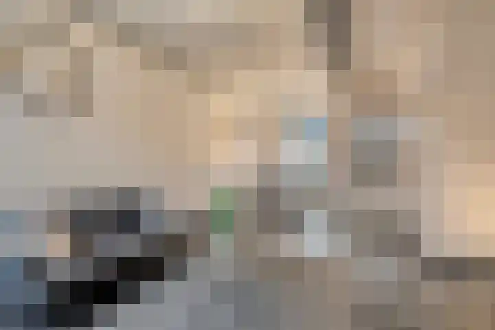Postillonstraat 20 Breda thumbnail 10