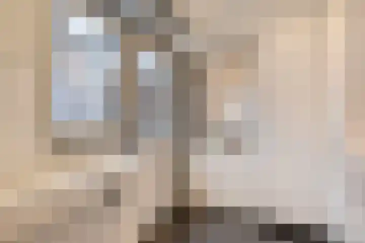 Postillonstraat 20 Breda thumbnail 14