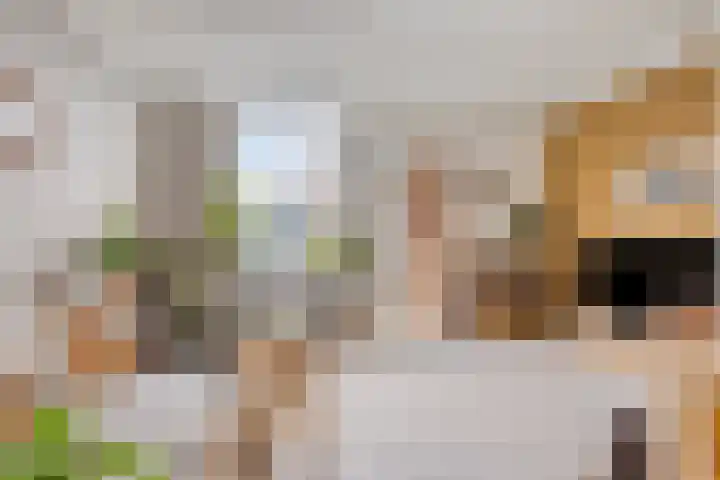 Postillonstraat 30 Breda thumbnail 8