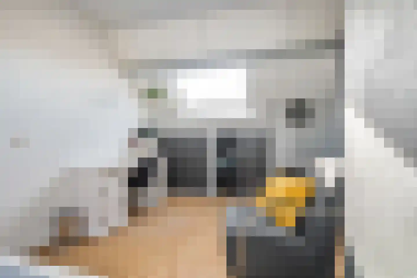 Postillonstraat 42 Breda thumbnail 34