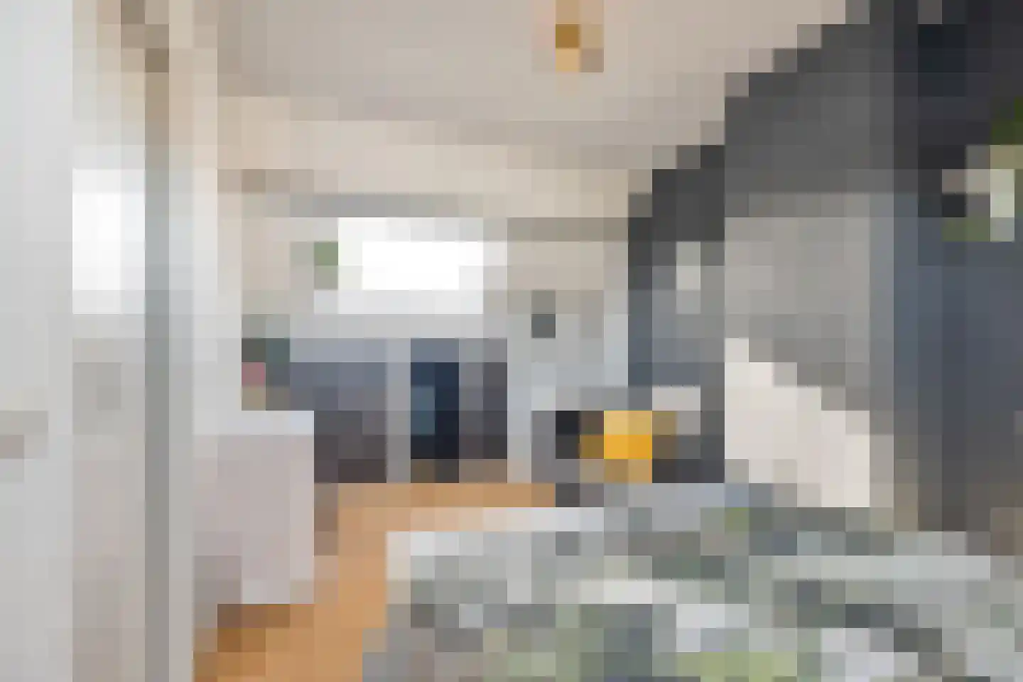 Postillonstraat 42 Breda thumbnail 36